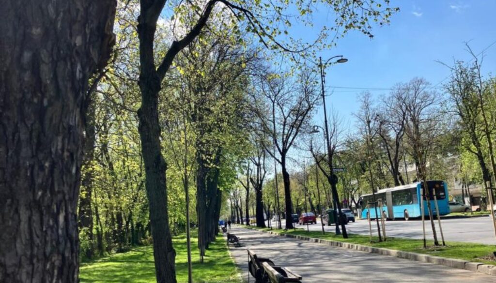 WhatsApp Image 2025-06-22 at 18.13.59